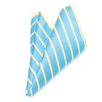 Hankerchief Swag